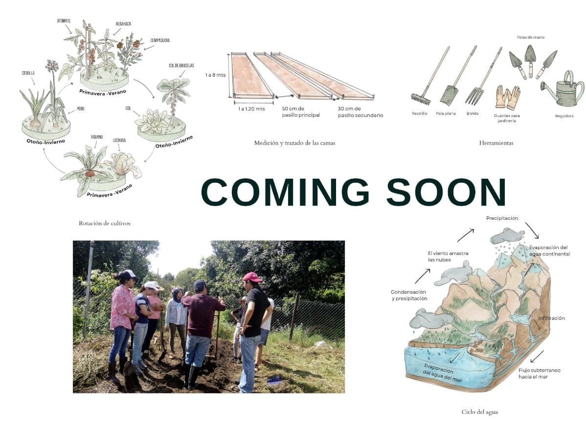 Curso online huertos